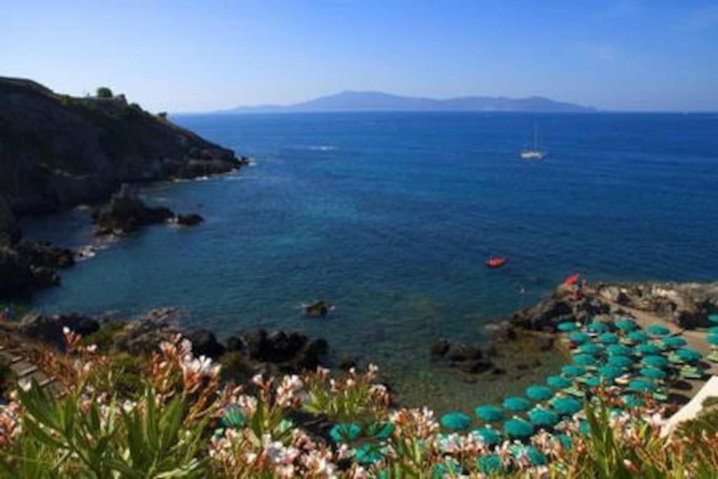 Near The Sea Big Panoramic House 2 Terraces In Lovely Village Montiano  Extérieur photo